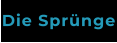 Die Sprünge
